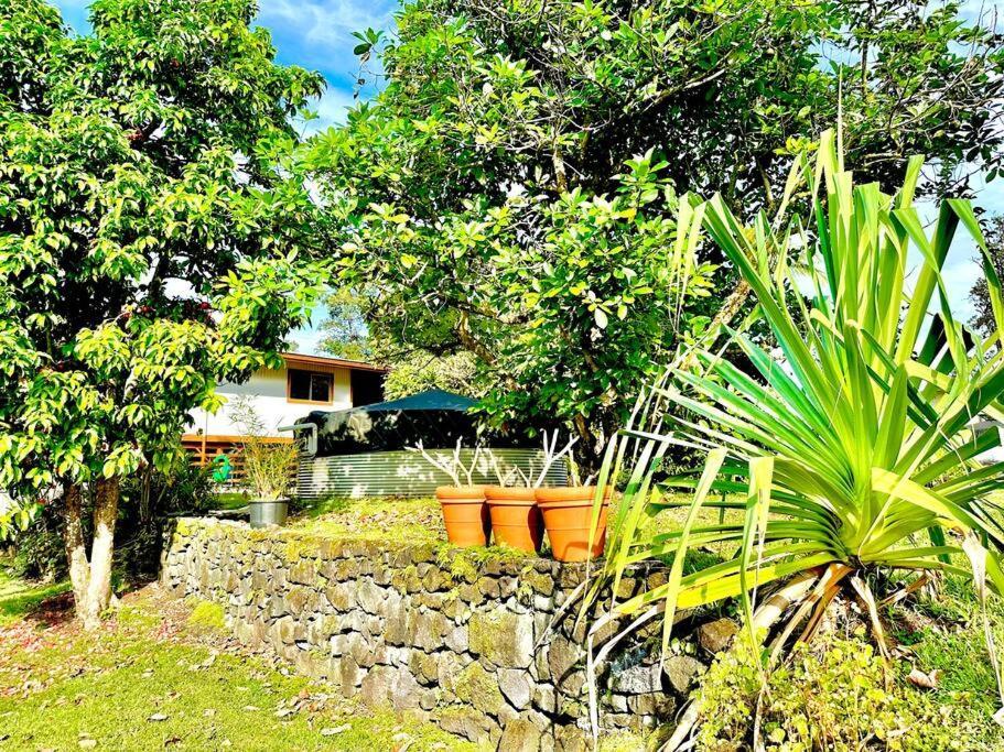 Home Near Volcano National Park, Hilo, Kehena Keaau ภายนอก รูปภาพ