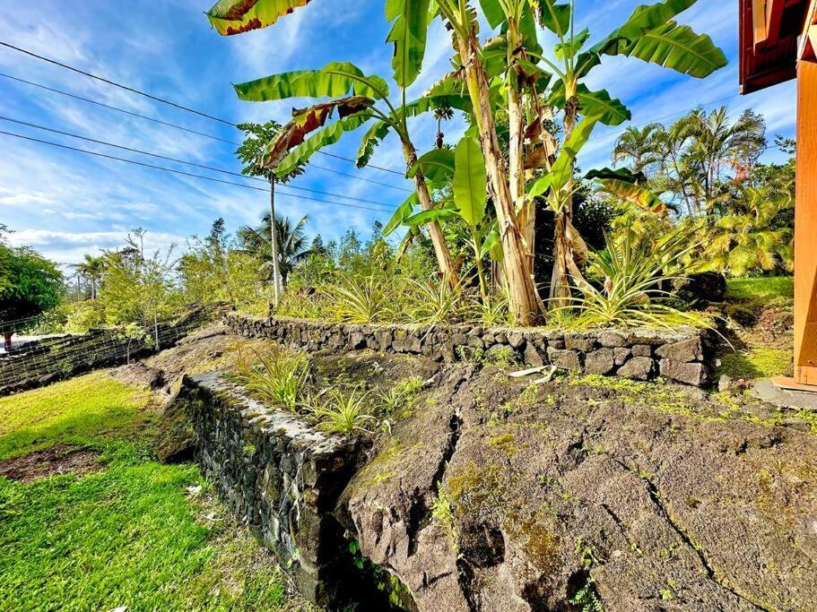 Puna Zen Botanical Garden Retreat Keaau ภายนอก รูปภาพ