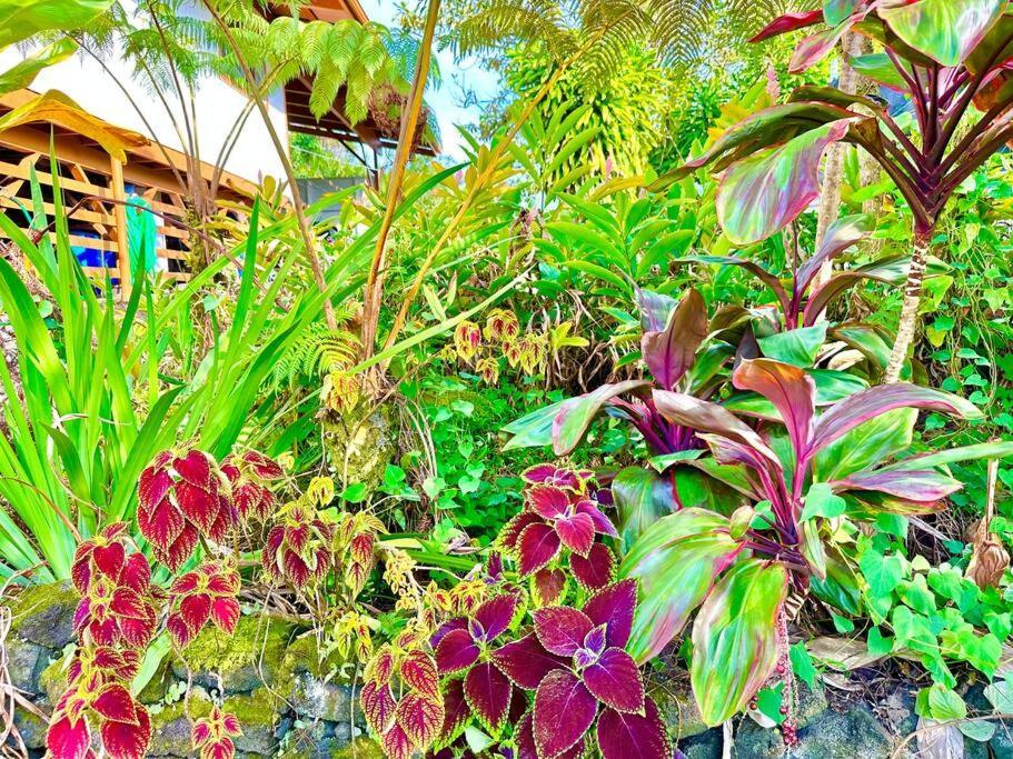 Puna Zen Botanical Garden Retreat Keaau ภายนอก รูปภาพ