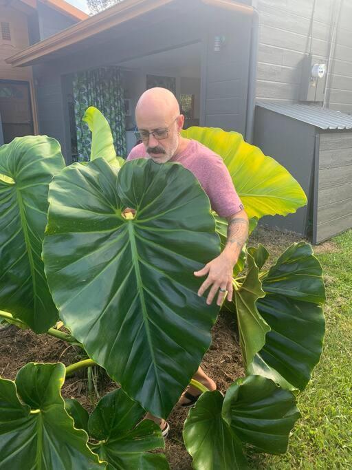 Home Near Volcano National Park, Hilo, Kehena Keaau ภายนอก รูปภาพ